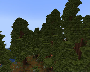 Rewdood Sequoia Trees