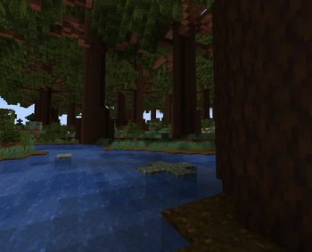 Redwood floor