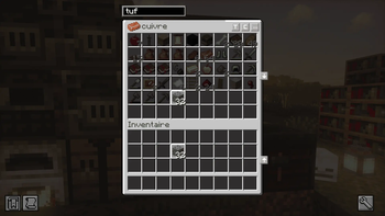 search bar