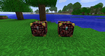 Protected Nether Chest