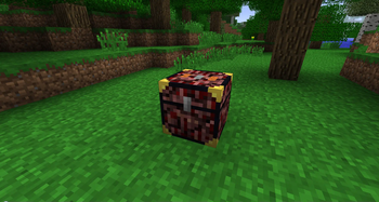 Nether Chest