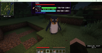 coco penguin-king