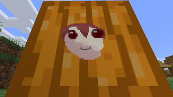 Teto face in Pumpkin 