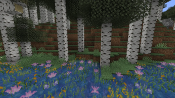 River Foliage