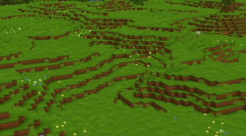 Saturated Grass