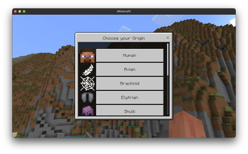 Bedrock view for the origin selection menu