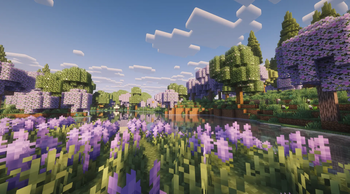 A flowering field