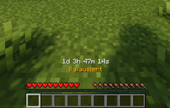 Paused Timer