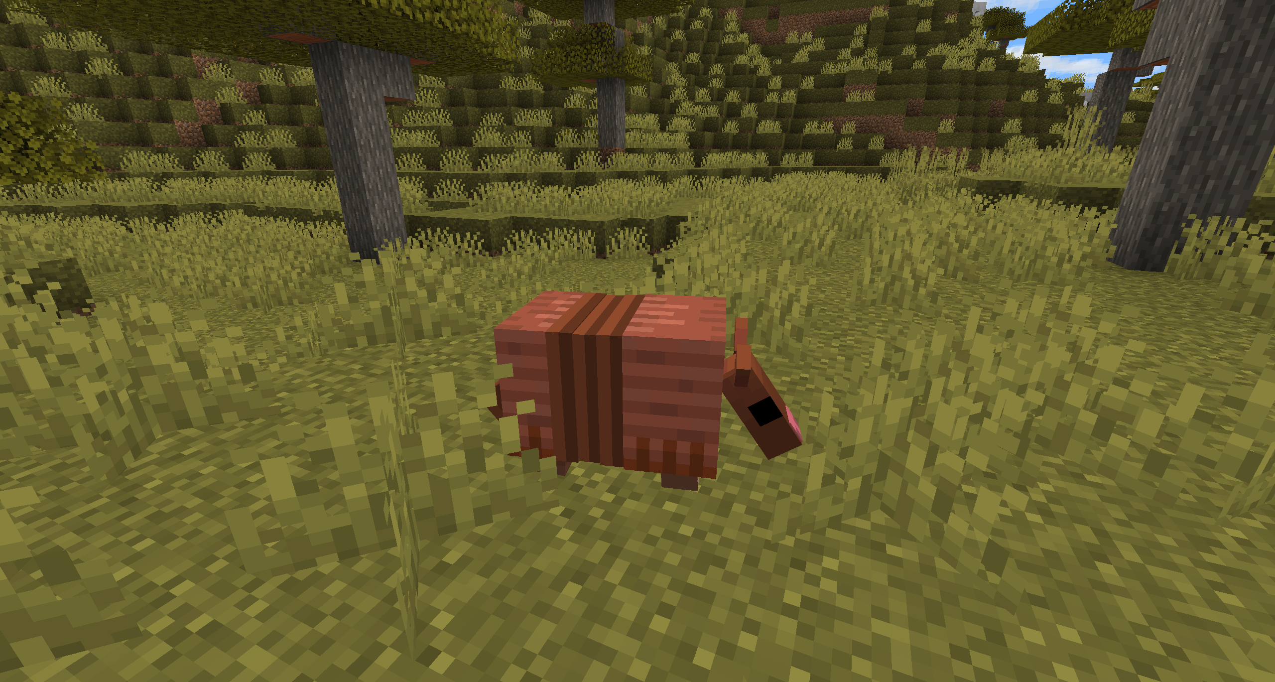 Armadillo Takes the Mob Vote, Minecraft Update 1.24 Coming Mid