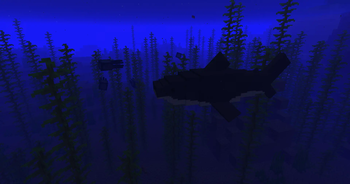 Jaws