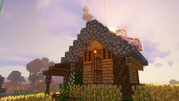 A little house showing off the new wood, cobblestone and torch