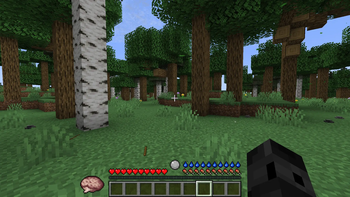 First time in the world