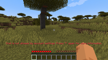 Issue Without Mod