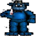 bear5