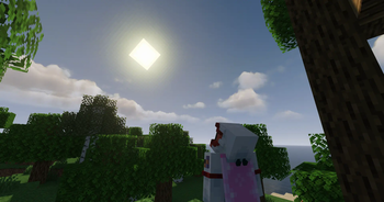 Shaders