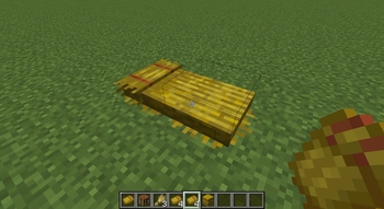 Straw Bed Placed