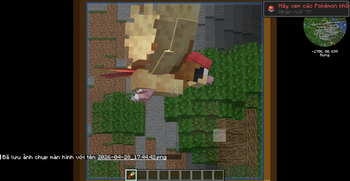 See pokemon fly