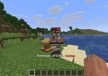 NametagToggle