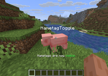 NametagToggle