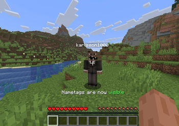 NametagToggle