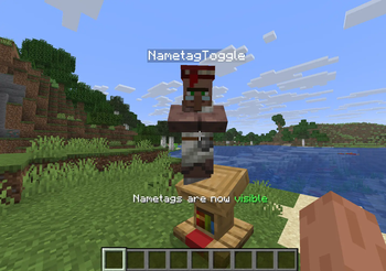 NametagToggle