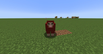 Sheep :)