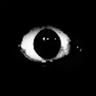 Inside The System: Horror Anomaly