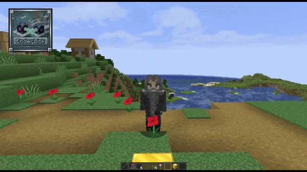 EnderLink Example