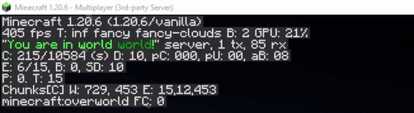 Custom Server Brand