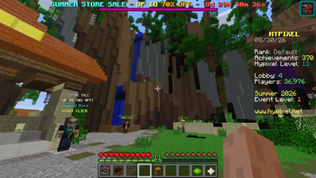 hypixel with Vanilla 1.11