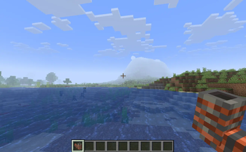First Person POV