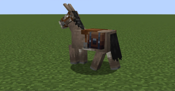 Donkey