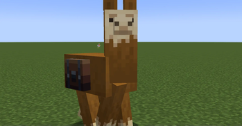 Llama