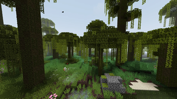 jungle