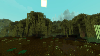 swamp