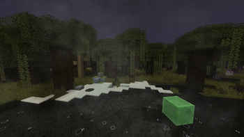 dark forest 