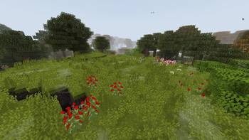 flower forest