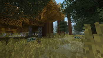 birch taiga intersection