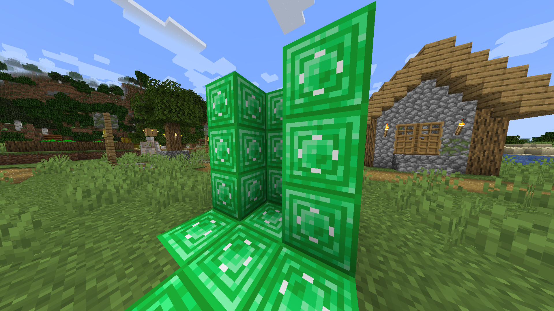 This shows off the shine animation on the emerald block