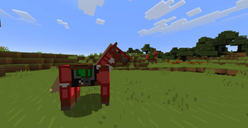 Horse