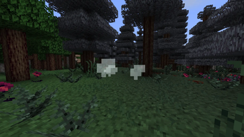 Beta Graphics