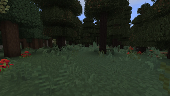 Alpha Graphics