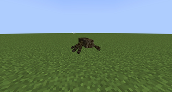 Brown Spider 