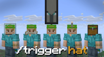 /hat