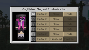 Showing the Customisation Menu for an individual player.