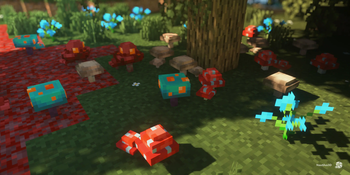 Mushrooms
