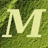 Taste of Matcha