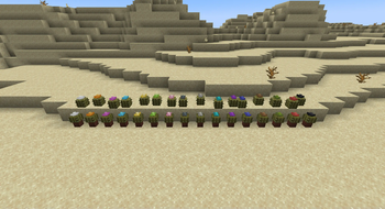 Every cactus type and their potted variants