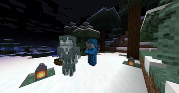 Illusioners can be found in cold biomes where Stray spawn!