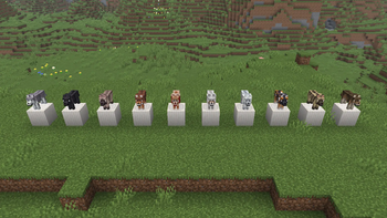 All wolf variants